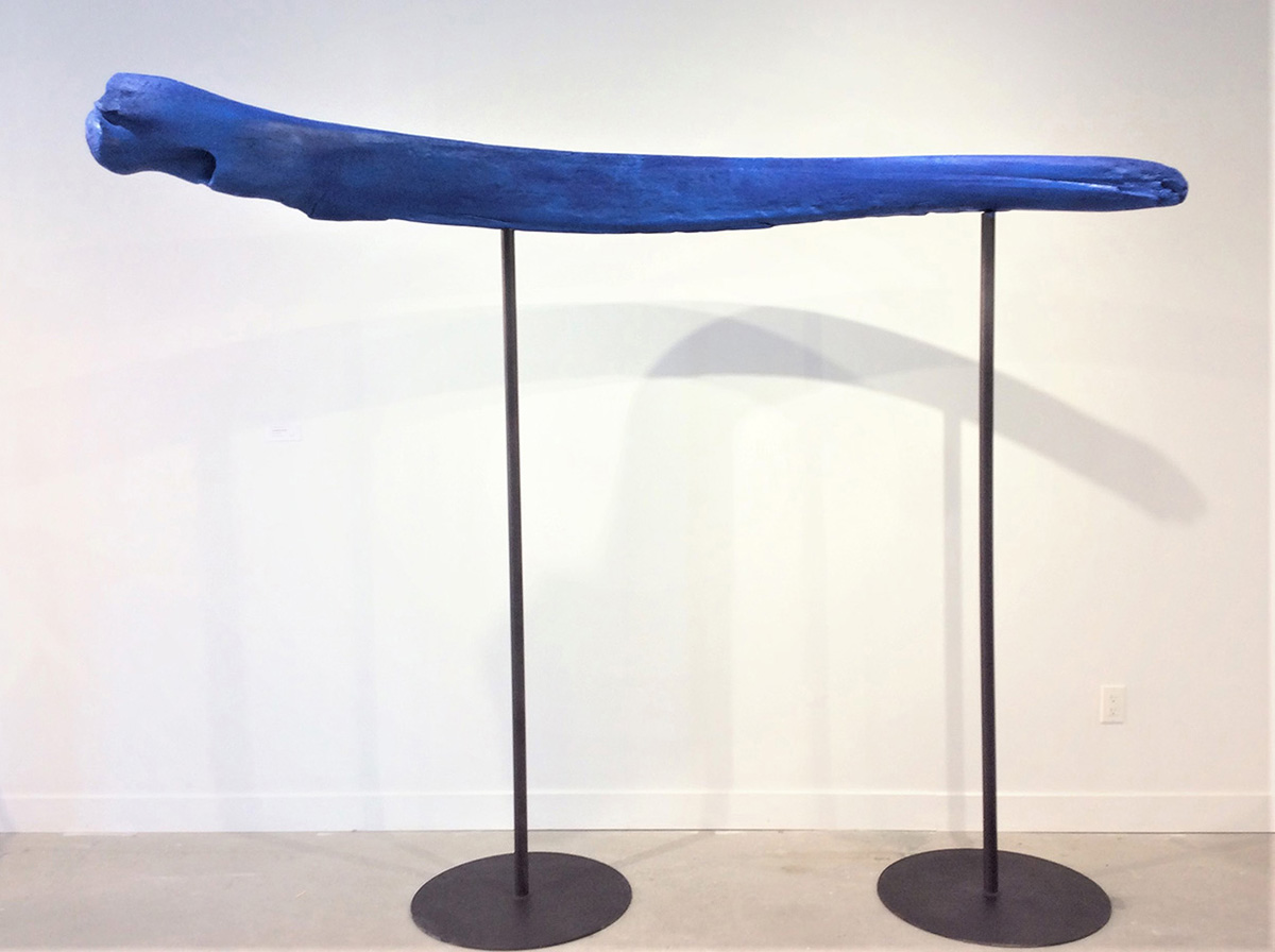 A sculpture made of a blue whale jawbone painted blue, sitting on two stands. 