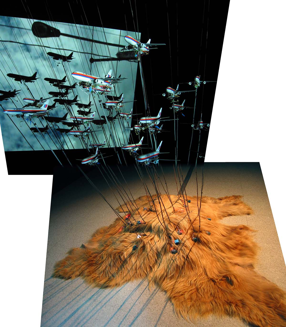 A video and electronic installation showing airplanes on long rods planted in a fur rug. 