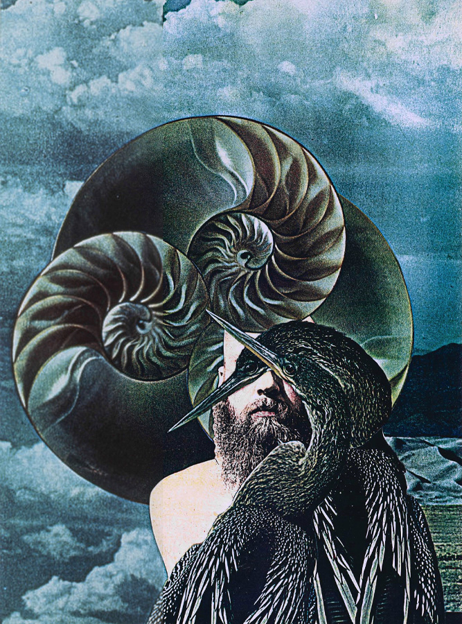 A portrait of a bearded man, peering past two dark waterbirds, against a collage backdrop of nautilus shells and storm clouds.   