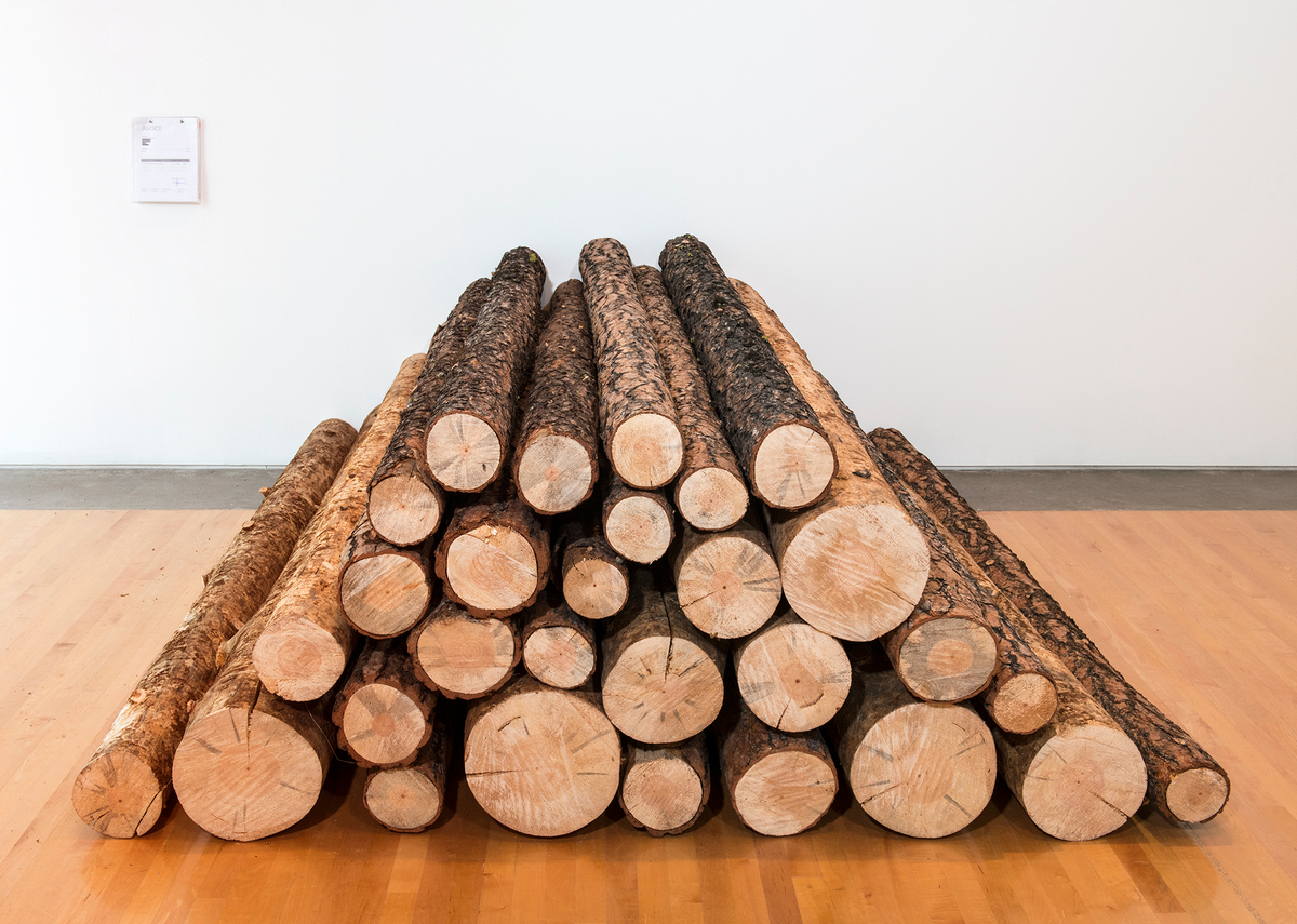 A tidy stack of straight logs, with diameters ranging from about eight to 25 centimetres, is seen on a gallery floor. 
