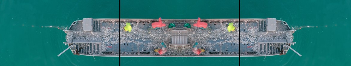 A colourful view of a fishing boat seen from directly overhead is made symmetrical by mirroring one half of the image on the opposite side. 