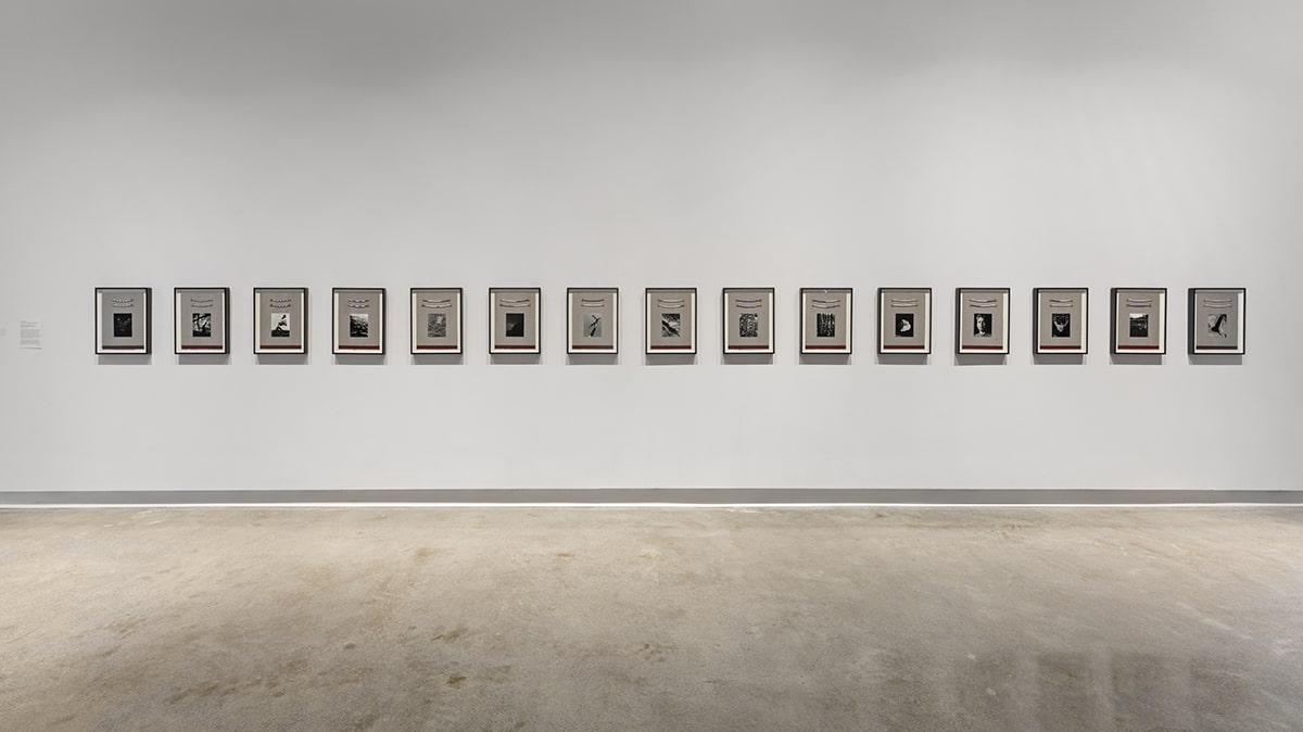 Fifteen frames on a white gallery wall. 